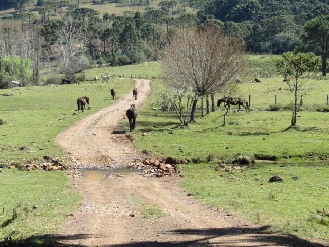 Fazenda em Urubici / chácara área rural - Foto 8
