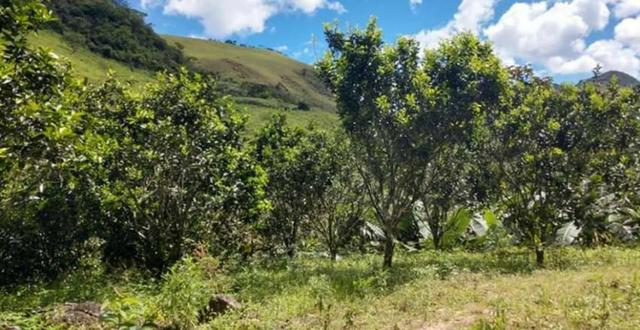 Sitio em Conceição de Macabu - Foto 2