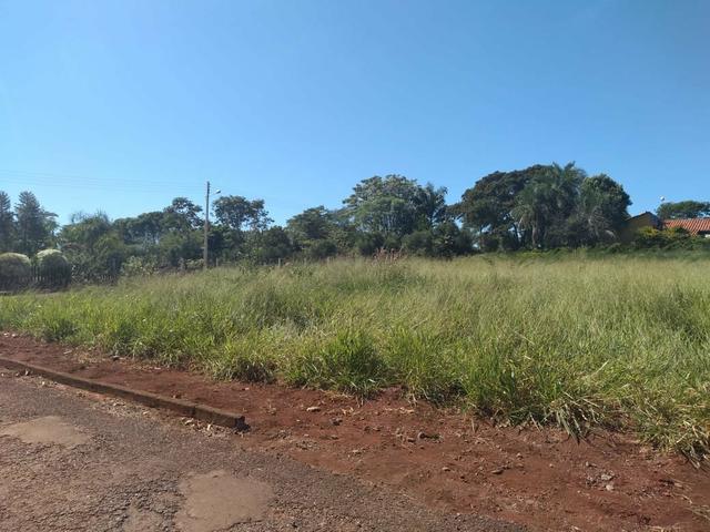 Condomínio de chácara Residencial Aroeira - Foto 4