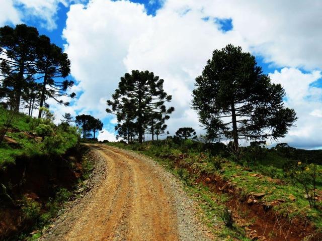 Fazenda em Urubici / chácara área rural - Foto 6