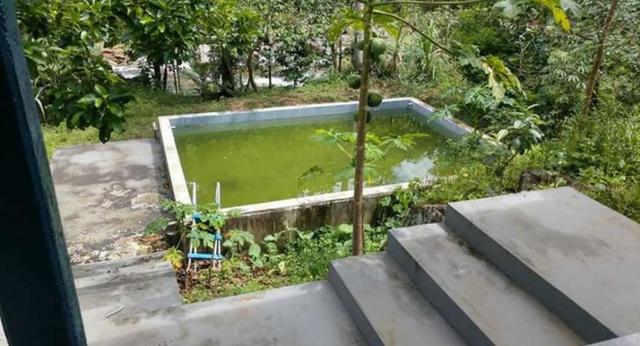Sitio em Conceição de Macabu - Foto 13