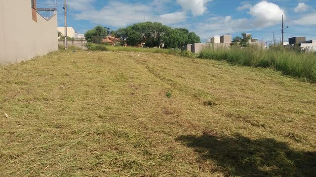 Imperdível - Investidores - Rua Lori 75.000,00 - Foto 3