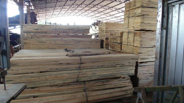 Tabua de Pinus - Foto 3