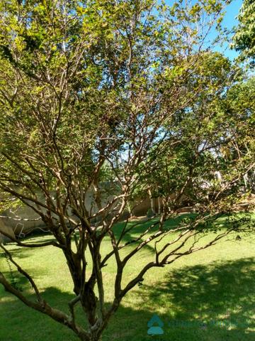 Sítio em Iguape em Guarapari - Foto 16