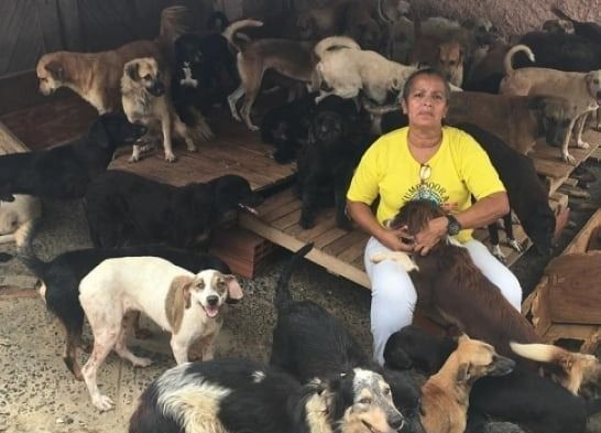 Vaga Auxiliar serviços gerais