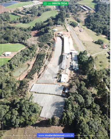 Propriedade para produção de morangos
