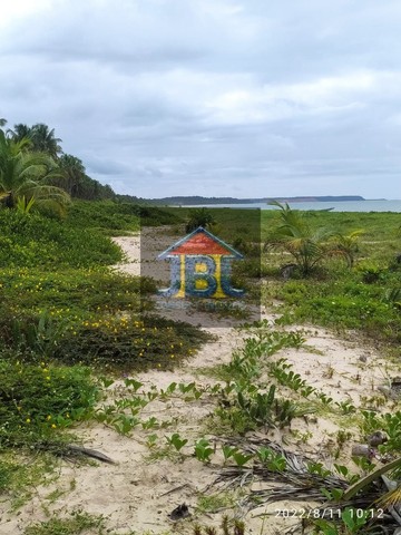 Área Comercial de Praia na Ilha da Croa  -  Barra de Santo Antônio