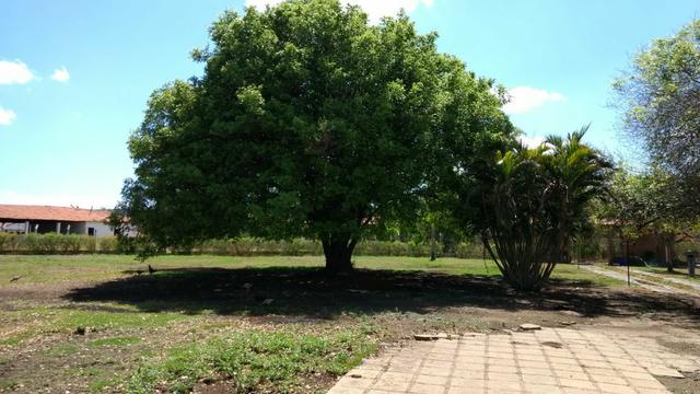 Vendo Fazenda em Missão Velha! - Foto 5
