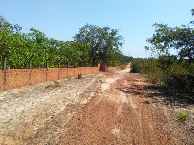 Sitio de 20 hectares, rico em água ótima casa sede e apenas 20 km de Teresina - Foto 2
