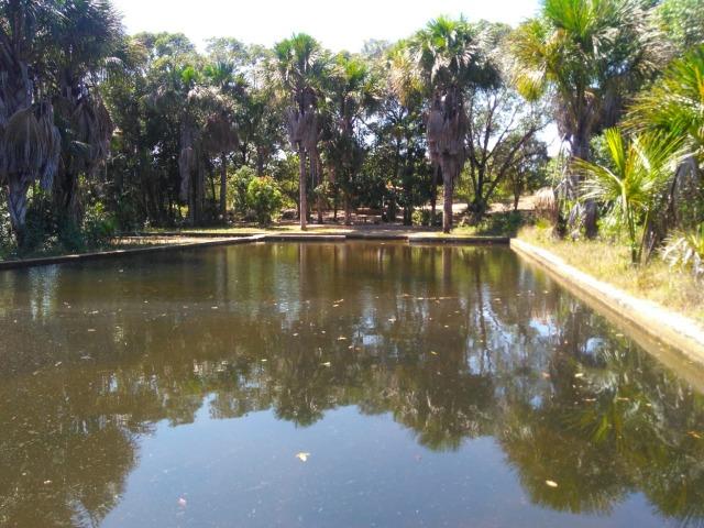 Sitio de 20 hectares, rico em água ótima casa sede e apenas 20 km de Teresina
