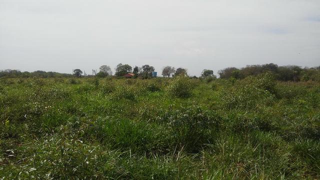 Terenos, MS linda chácara - até para morar - Foto 9