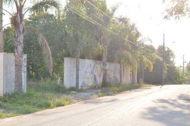 Terreno para alugar, 3100 m² por r$ 3.900/mês - santa felicidade - curitiba/pr - Foto 7