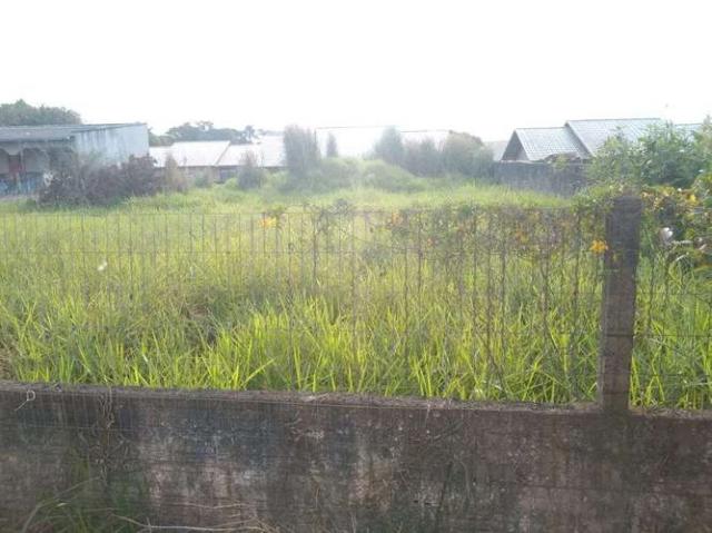 Terreno 300m da praia do tabuleiro, aceita-se carro como parte de pagamento! - Foto 2