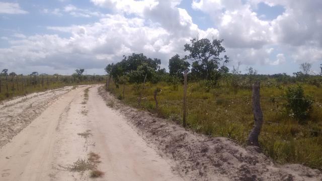 Sítio Praia Rio em Terreno - Foto 2