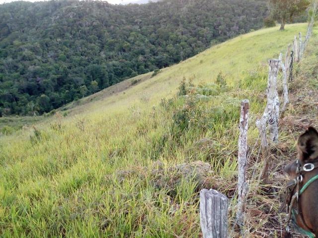 Fazenda em Ubaira-BA - Foto 16