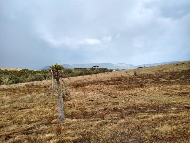 Chácara a Venda - Foto 6