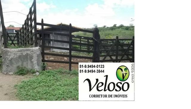 Oportunidade!! Sitio a 6 km da Cidade, 17 Contas de Terra,em Gravatá-PE - Foto 4