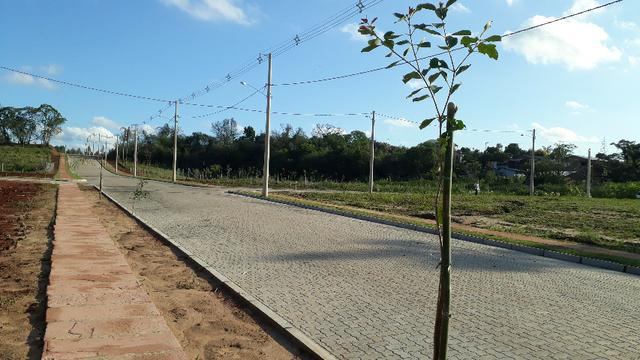 Terrenos Campo Grande - Estancia Velha - Foto 3