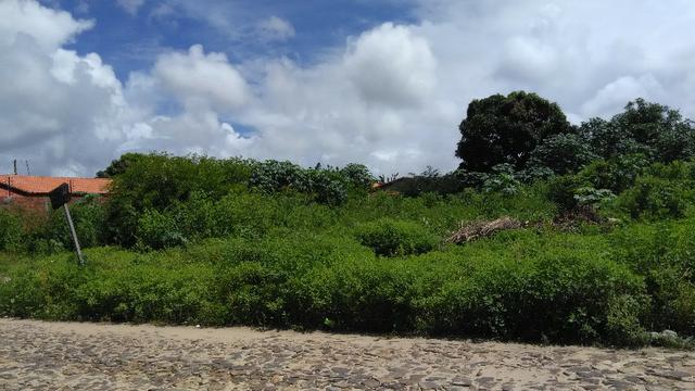 Lote de 30 x 30m, proximo ao CAIC, em Parnaíba, PI - Foto 2