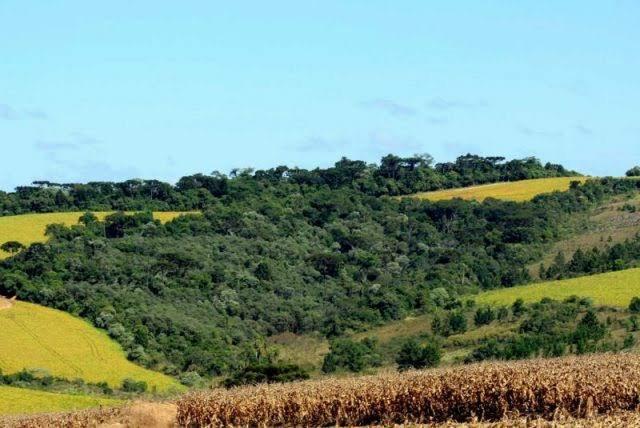 800 tarefas de reserva legal