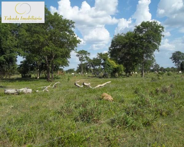 Sítio à venda em Zona rural, São joão d'aliança cod:FA00003 - Foto 6