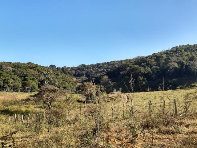 676 - Área de terra no Bugre de 29 hectares - Foto 16