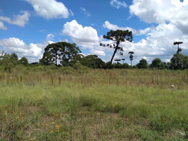 REF 2418 - Área com 24.177 m², sendo 11.000 m² de área limpa e plana. 2 barracões - Foto 10
