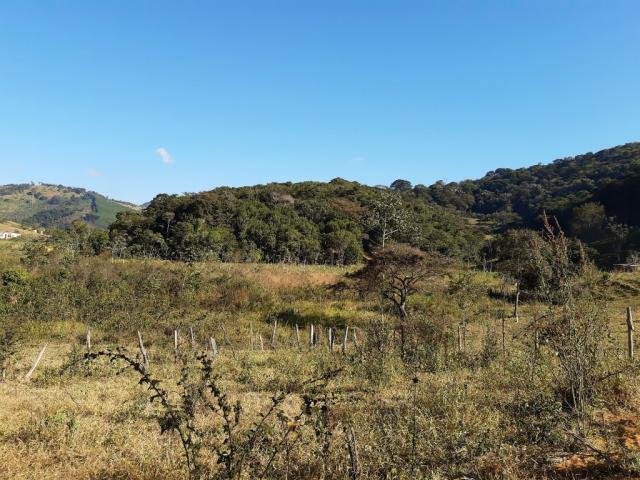 676 - Área de terra no Bugre de 29 hectares - Foto 13