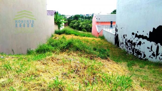 Terreno, Protásio Alves, Porto Alegre-RS - Foto 2