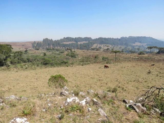 Fazenda em Urubici / chácara área rural - Foto 15
