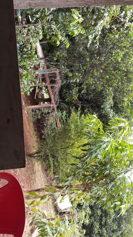 Vende se