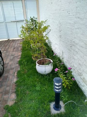 Augo Apartamento no Centro de Garanhuns com tranquilidade de Campo - Foto 19