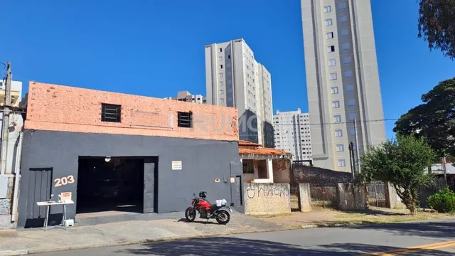 galpão - São Bernardo - Campinas