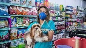 Pet Shop no Bairro Assunção em São Bernardo do Campo