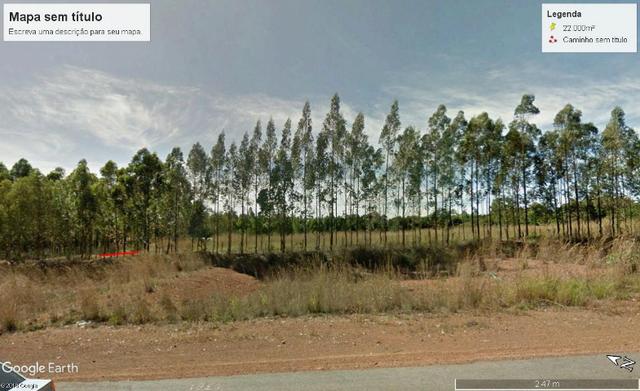 Areá BR. 153 Imobiliária Azevedo Gomes - Foto 2
