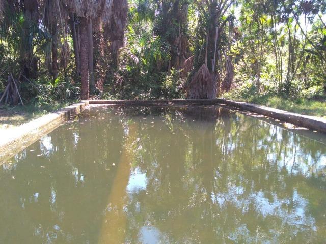 Sitio de 20 hectares, rico em água ótima casa sede e apenas 20 km de Teresina - Foto 15