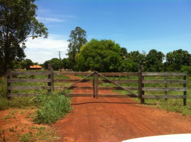 Fazenda 220hec chapada, agua fria MT 020 - Foto 3
