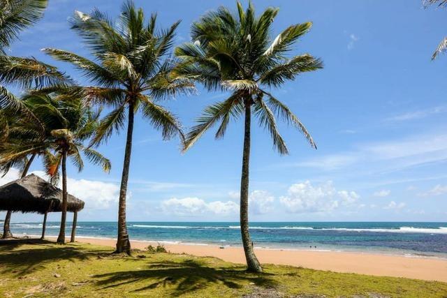 Vendo Maravilhoso Terreno na Praia Barra grande - Foto 4