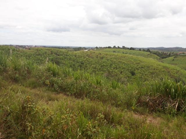 Escada=Vend. 7 mil por Hect=140 Hect=Todos plantado em Cana de Açúcar, só vendemos tudo - Foto 9