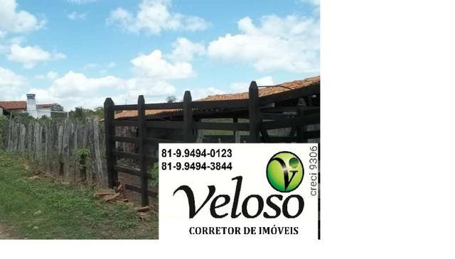Oportunidade!! Sitio a 6 km da Cidade, 17 Contas de Terra,em Gravatá-PE - Foto 5