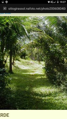 Lindo sitio em salvador - Foto 5