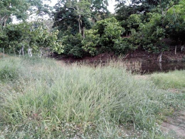 Fazenda em Ubaira-BA