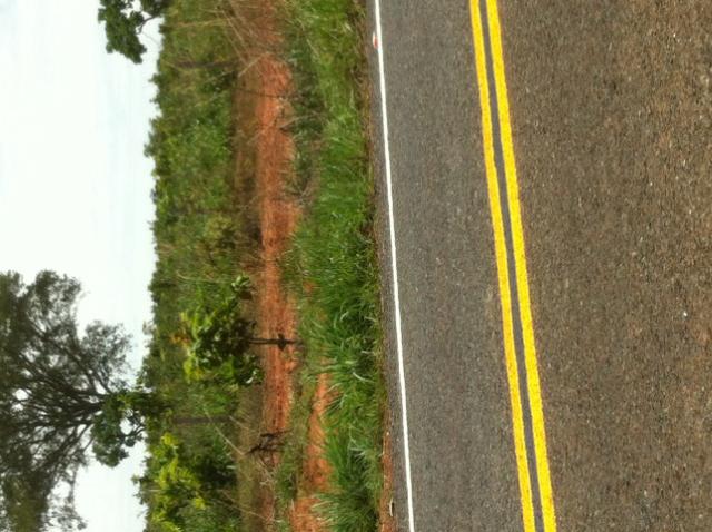 Fazenda 220hec chapada, agua fria MT 020