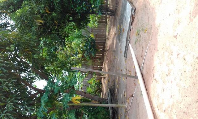 Casa em Novo Airao AM
