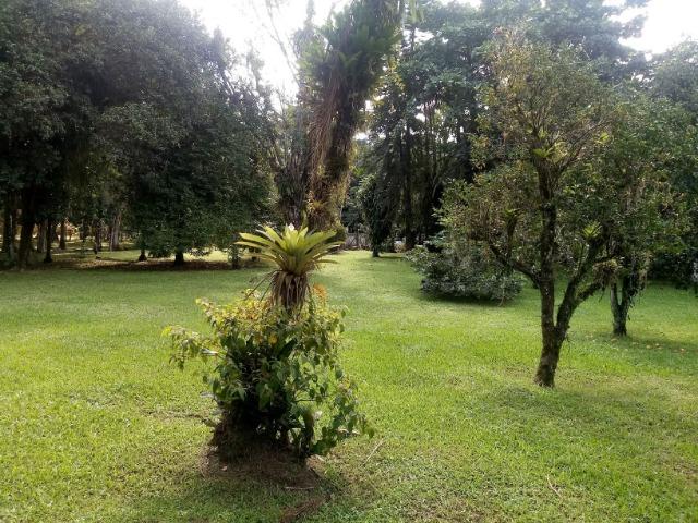 Terrenos - Porto de Cima - Morretes - Foto 17