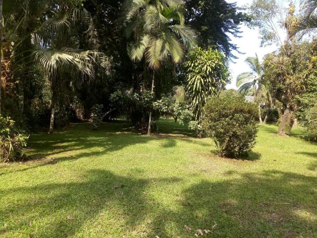 Terrenos - Porto de Cima - Morretes - Foto 8