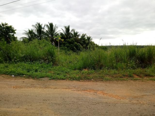 571 - Chácara no Residencial Porto Seguro - Chácaras Rio Doce. - Foto 4