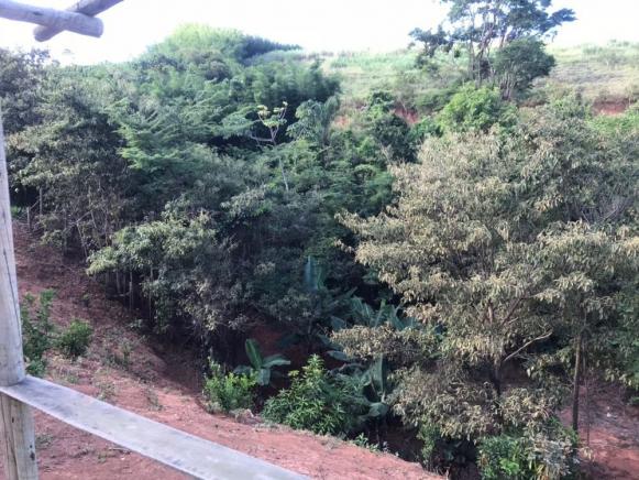 644 - Sítio com lagoa! - Foto 15