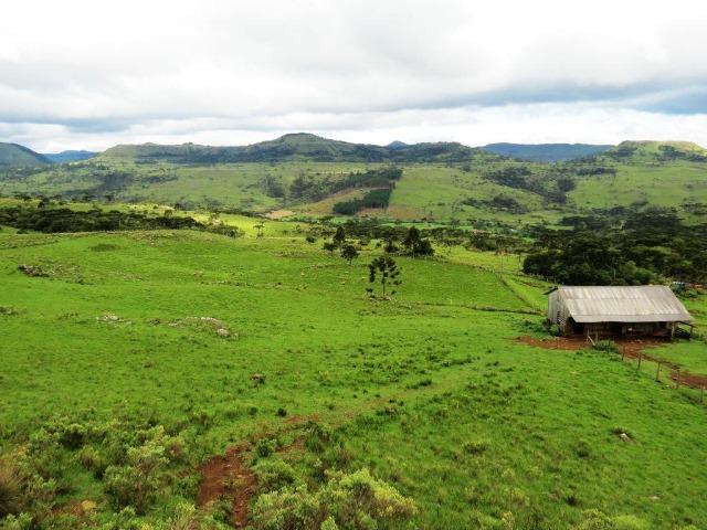 Fazenda em Urubici / chácara área rural - Foto 7