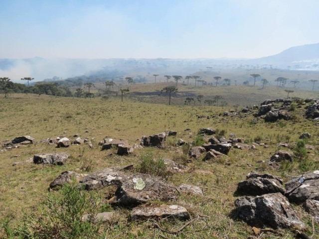 Fazenda em Urubici / chácara área rural - Foto 9